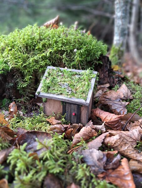 Miniature house